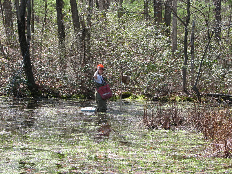 Register a Vernal Pool